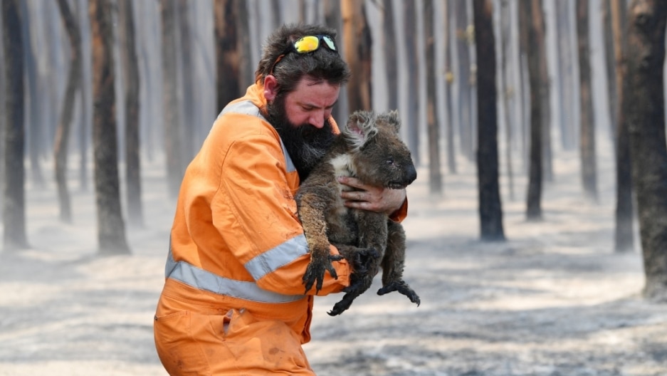 ck62fen9s00oug1i57xcmuhwp 2020 01 07 australia fires wildlife