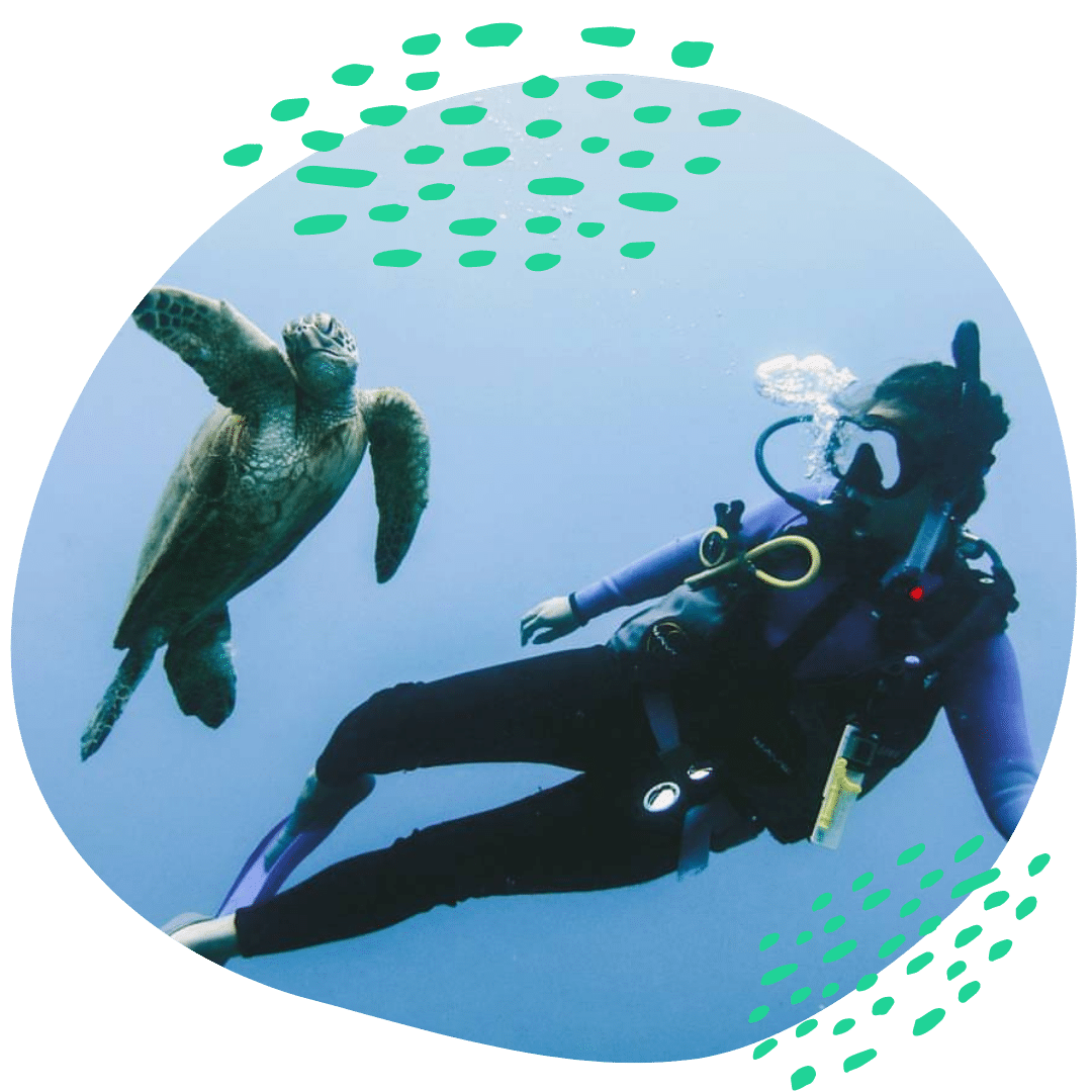 diving website melissa 1