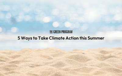 5 Ways to Take Climate Action this Summer