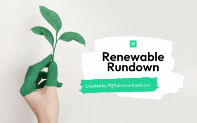 What’s New in Renewable Energy and Sustainability this Month