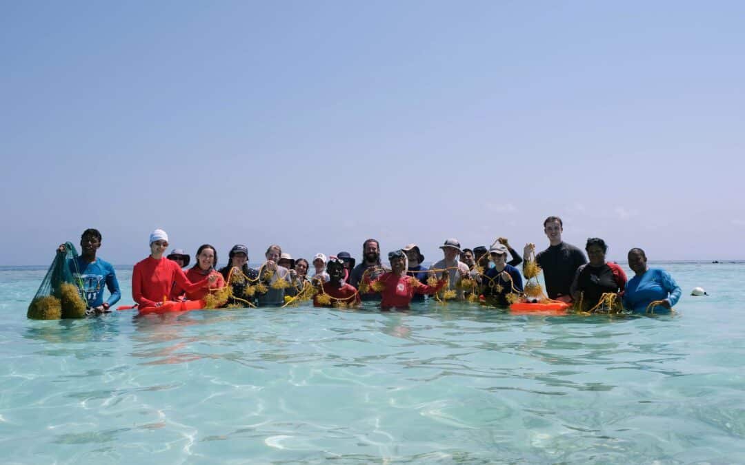 Life-Changing Exploration of Life on Land and Below Water with Pennsylvania State University