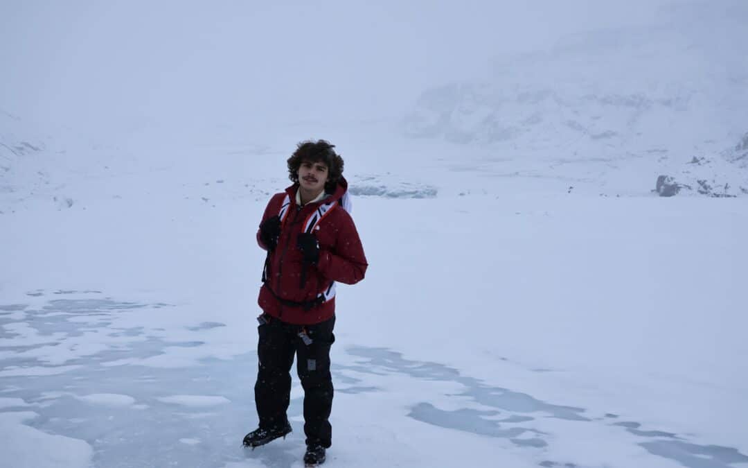 Learning from Iceland: The Need for Collective Action in Sustainability