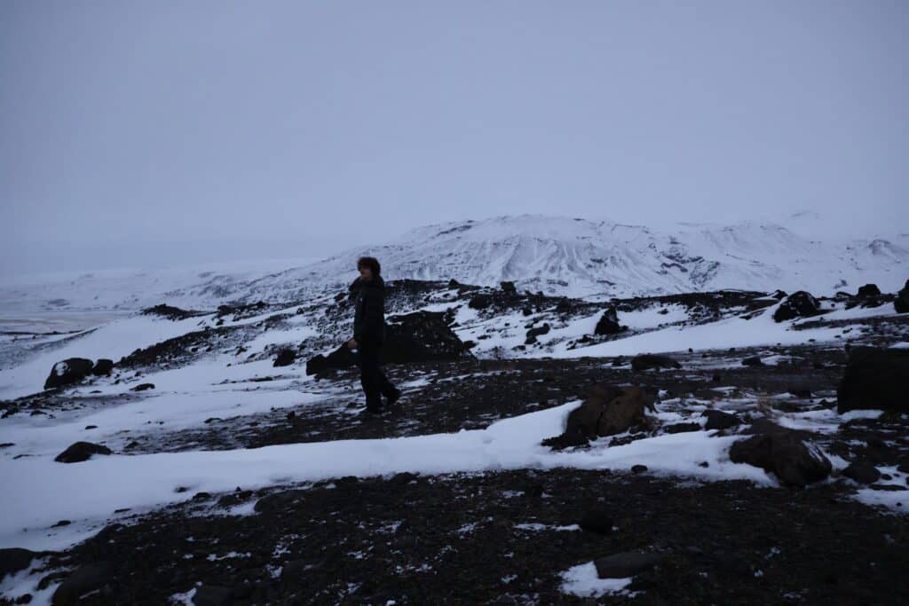 Learning from Iceland: The Need for Collective Action in Sustainability 4 IMG 8612