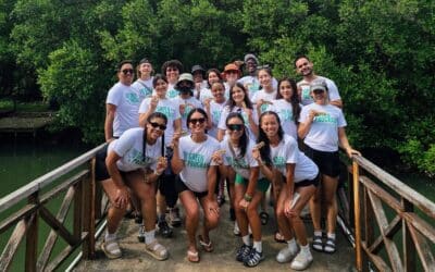 10 Effective Actions to Champion Climate Finance: A Post-Program Climate Action Toolkit for The GREEN Program Alumni