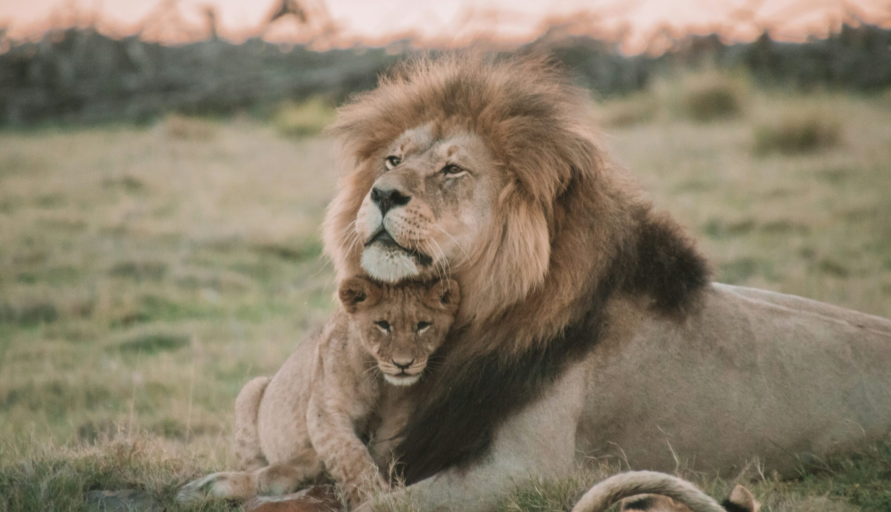 brianna r 54wJzpH6Q unsplash 1 scaled e1764095343154