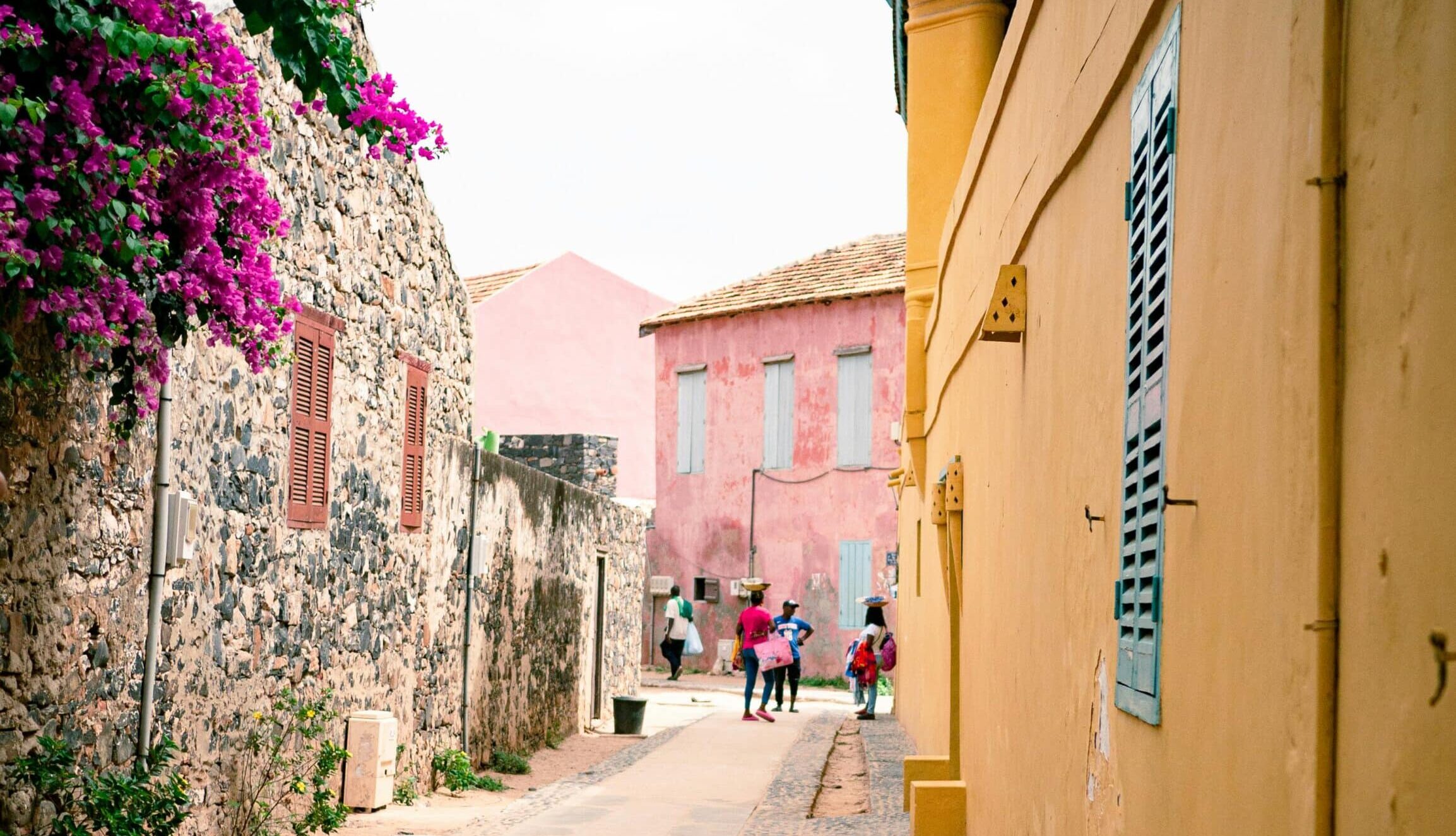 pexels amaurymic 18189721 scaled e1764095453529