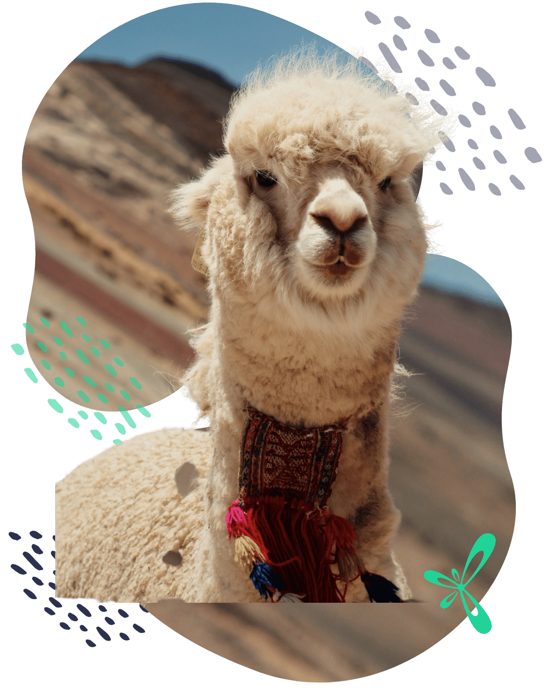 study abroad programs in Peru