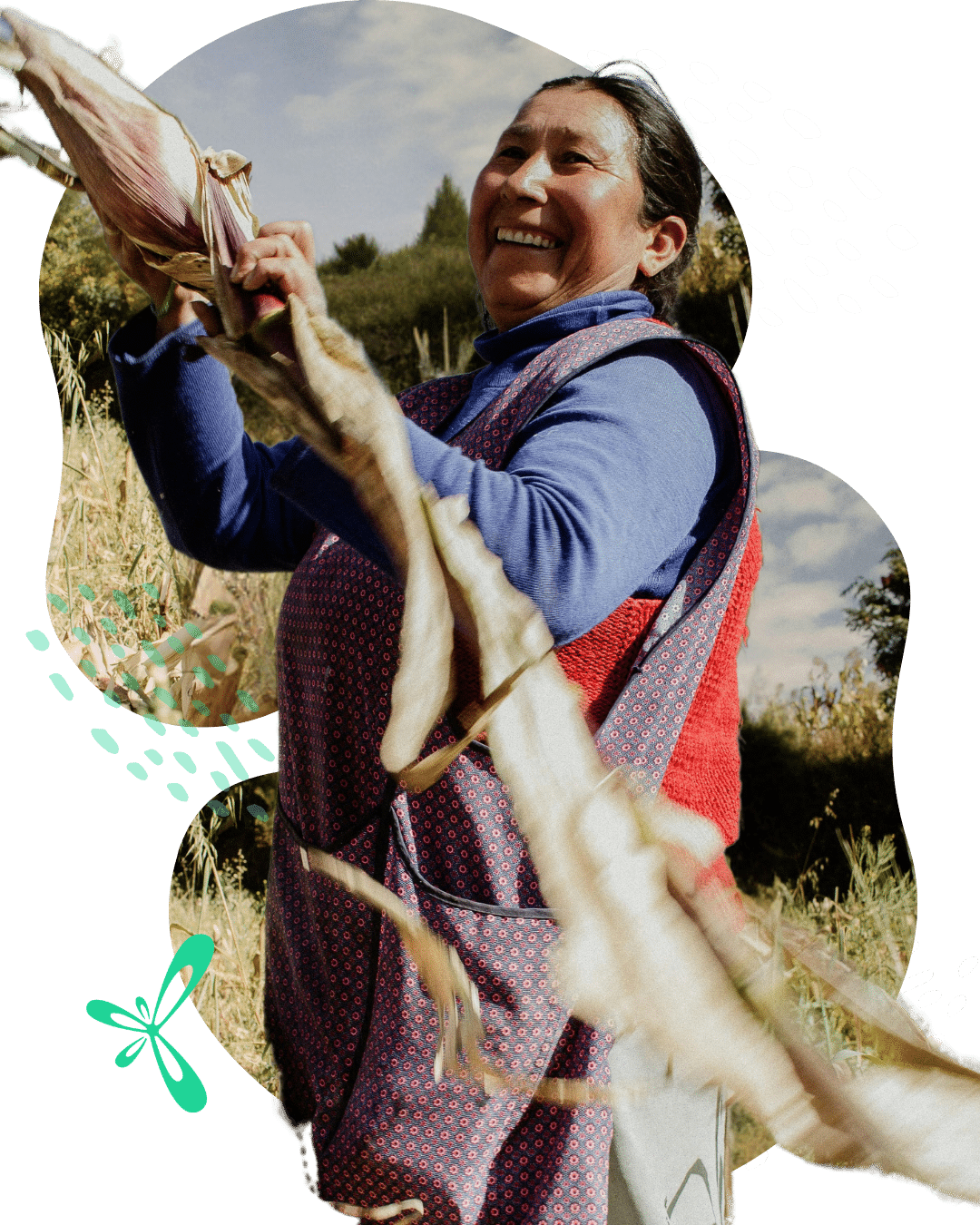 website graphics melissa 5